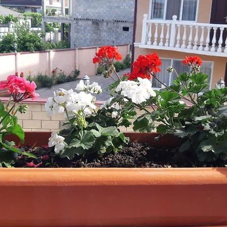 Гостевой Дом Анастасия Sukhumi Ngoại thất bức ảnh